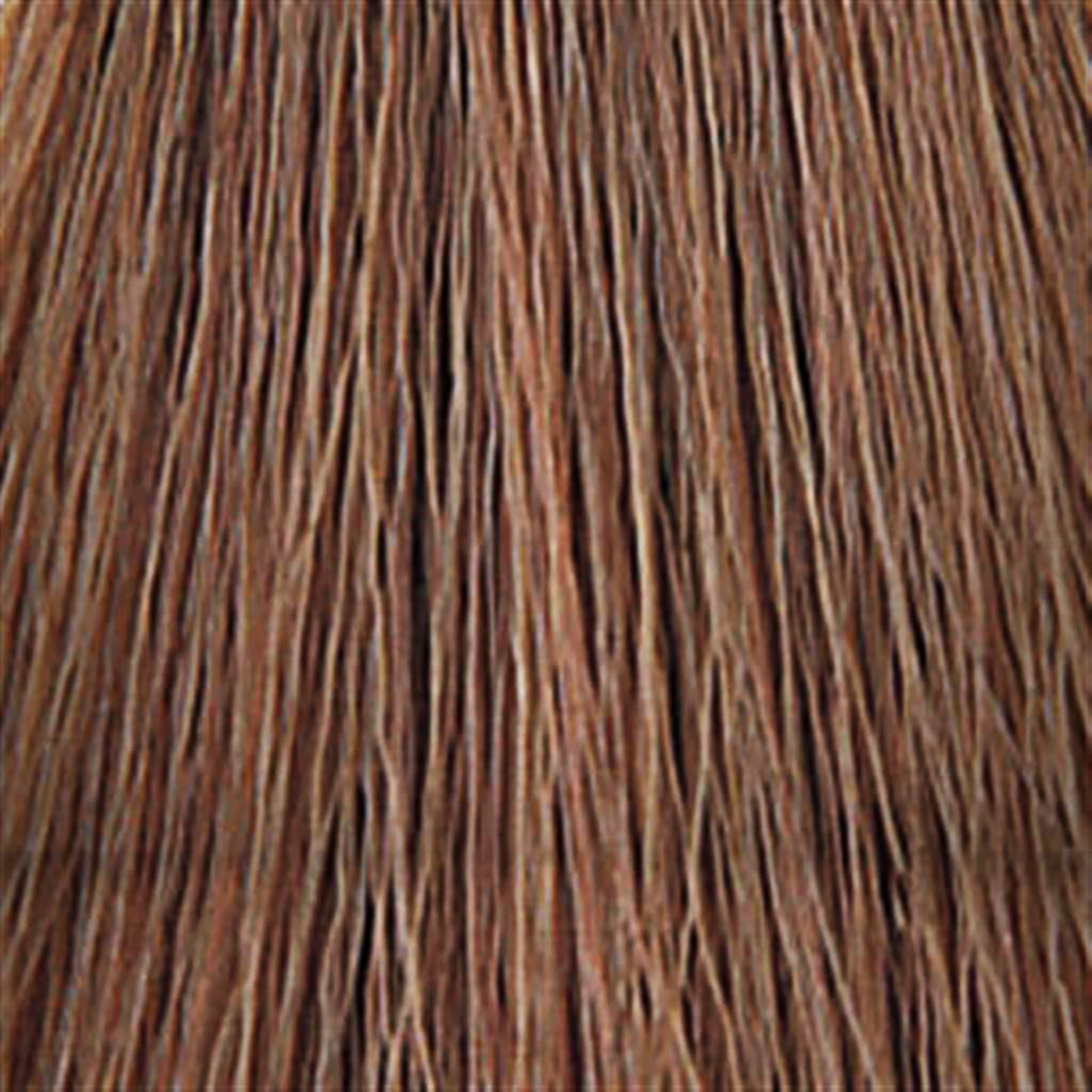 555 6G Hazel CC Blonde