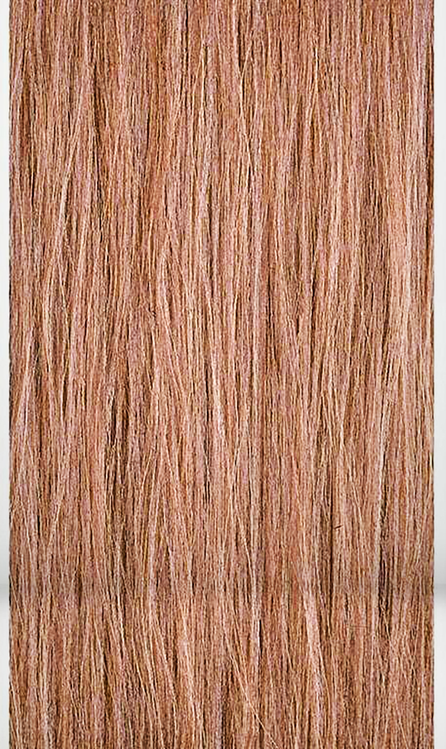 3oz color Blonde the Warm 10WB Lightest 90ml