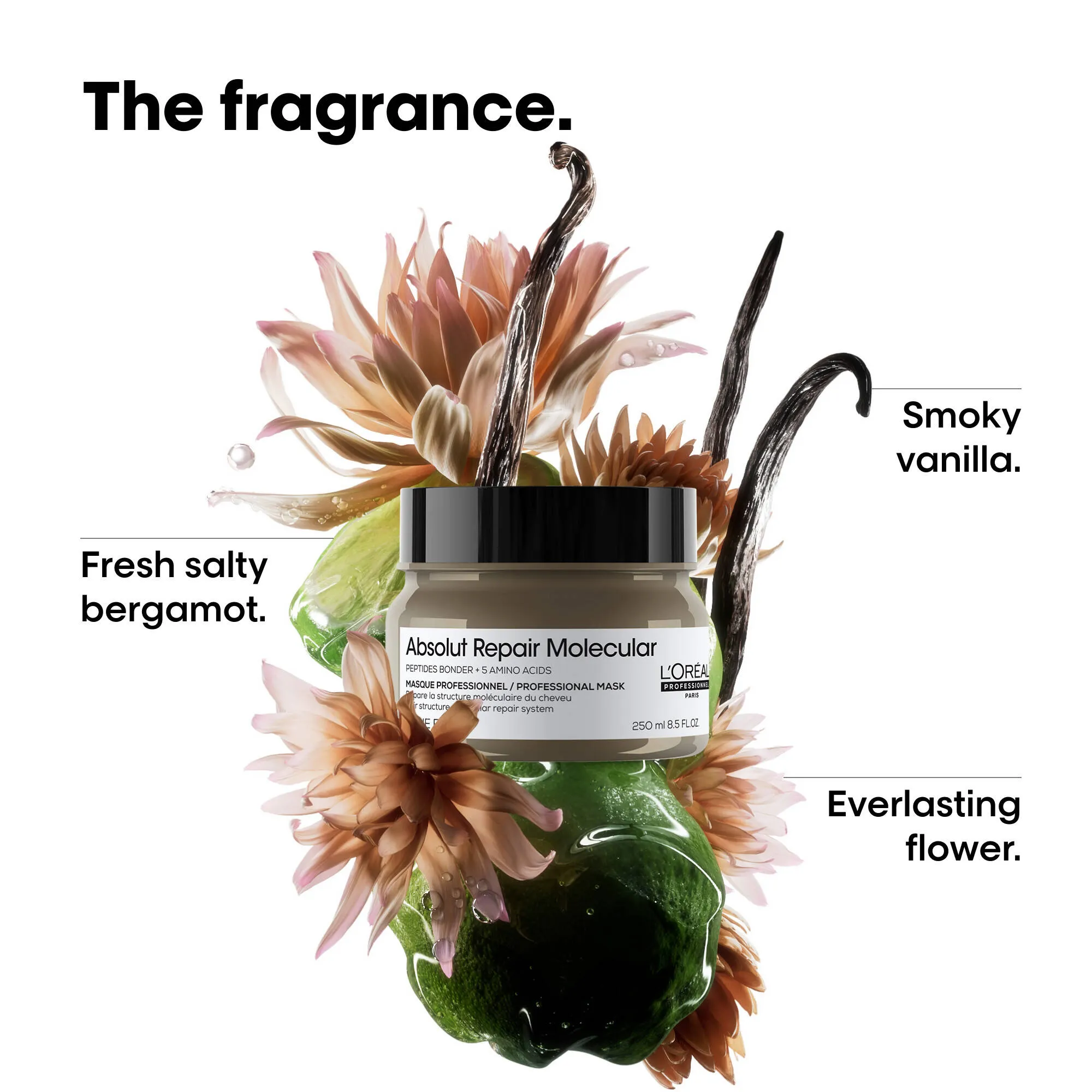 Absolut Repair Molecular Mask 250mL