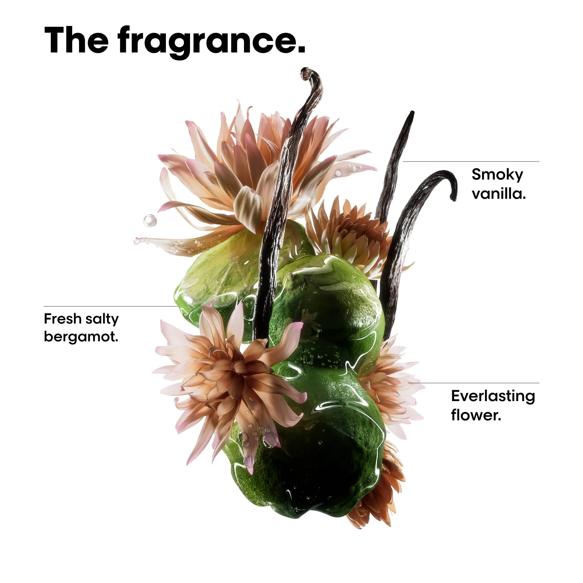 Absolut Molecular Repair Oil 90mL