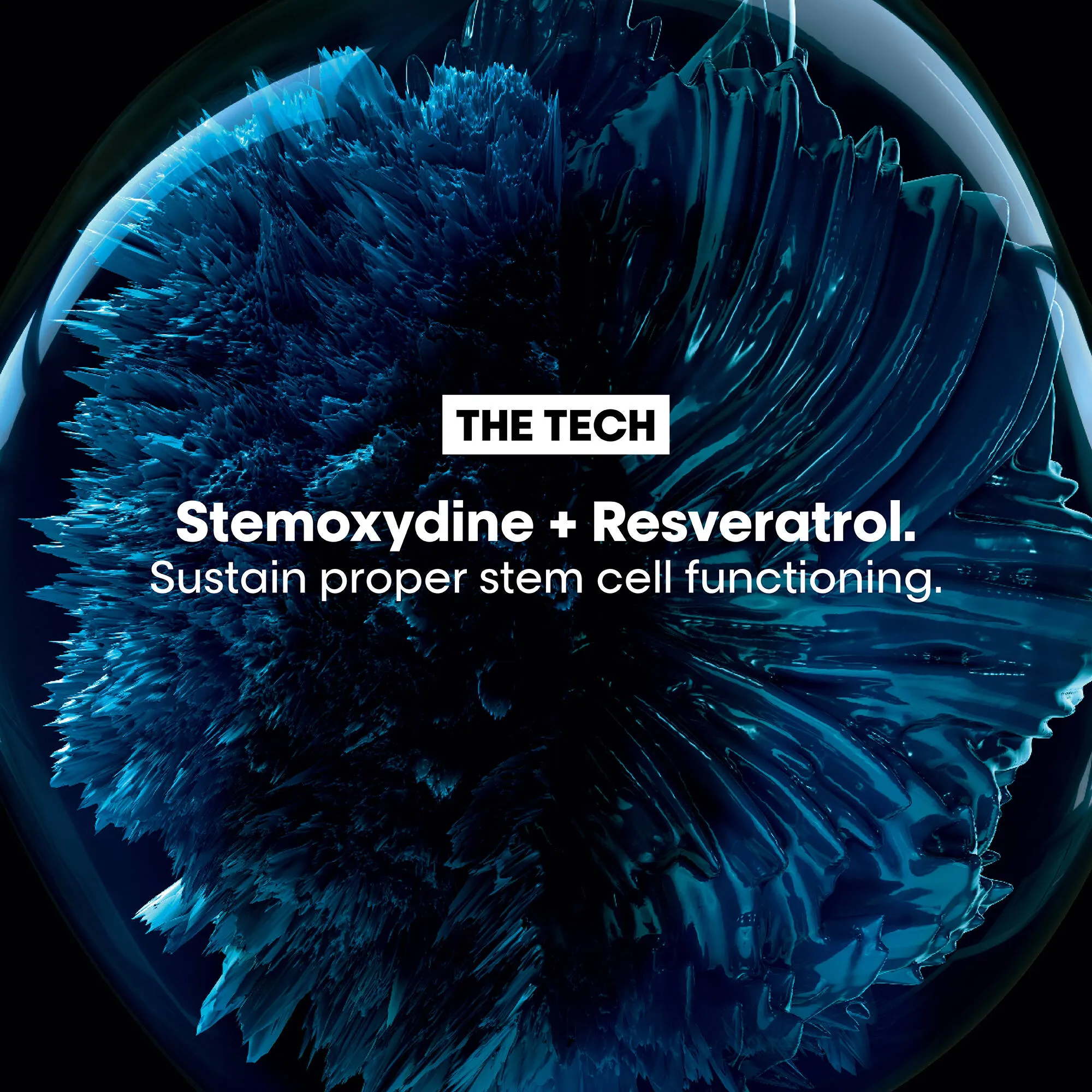 Serioxyl Advanced Spring Duo 2026 *