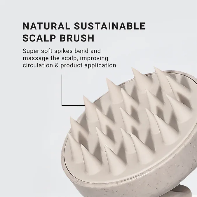 Loma Scalp Brush