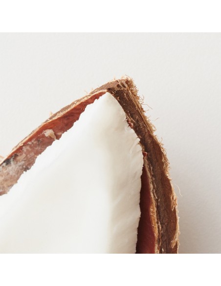 AG Care - Coco Nut Milk Conditioning Spray - 148ml view 5