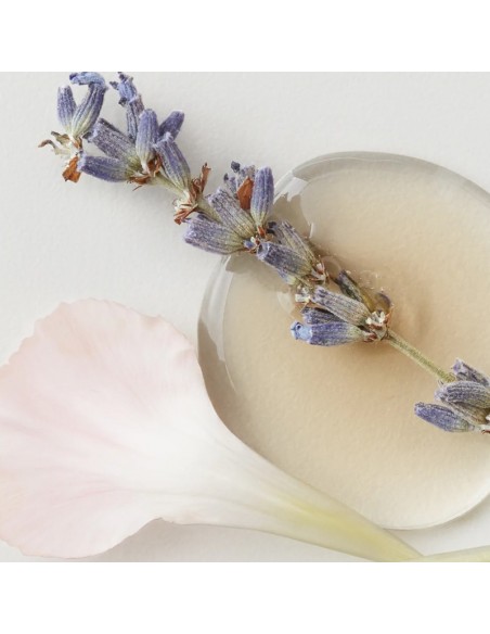 AG Care - Colour Savour Colour Protecting Shampoo - 296ml view 5