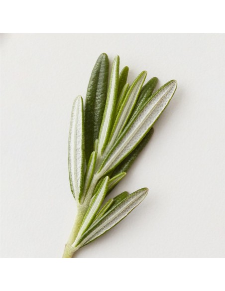 AG Care - Conditioning Mist Detangling Spray - 355ml view 4