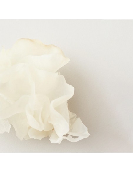 AG Care - Nourish Snow Mushroom Moisture Mask - 148ml view 5