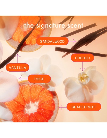 amika - The Wizard Detangling Primer - 350ml view 7