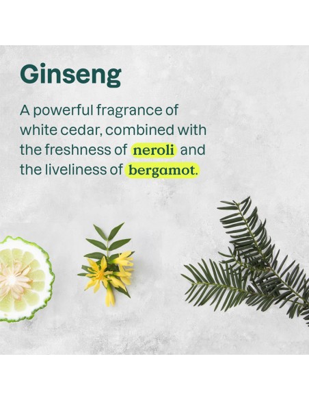 Attitude - Super Leaves - 2-In-1 Shampoo & Body Wash Ginseng & Grape Seed Oil - 473ml view 5