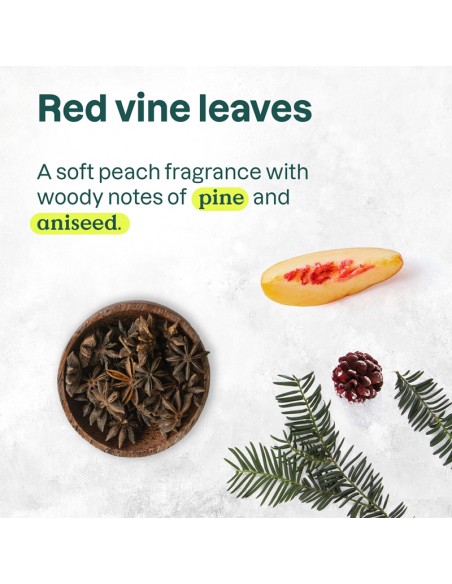 Attitude - Super Leaves - Colorlast Shampoo - 473ml view 5