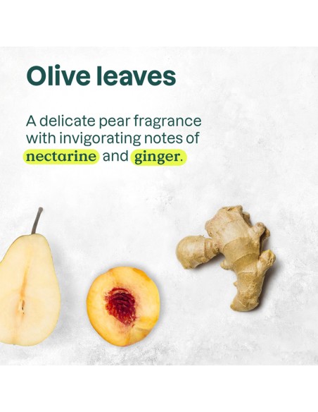 Attitude - Super Leaves - Nourishing Shampoo - 946ml view 4