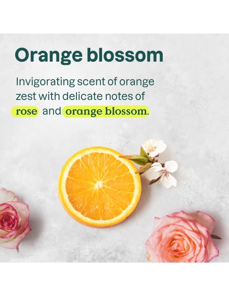 Attitude - Super Leaves - Nourishing Shampoo For Curly Hair - 473ml view 4