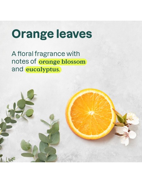 Attitude - Super Leaves - Volume & Shine Shampoo - 946ml view 5