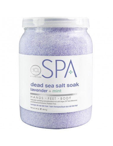 BCLspa - Lavender & Mint Dead Sea Salt Soak - 1814g view 2