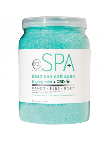 BCLspa - Tingling Mint + CBD Dead Sea Salt Soak - 1814g view 2