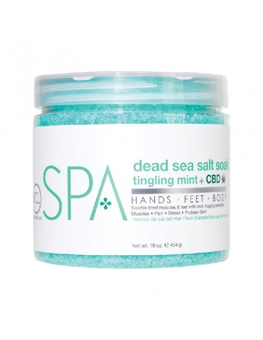 BCLspa - Tingling Mint + CBD Dead Sea Salt Soak - 454g view 2