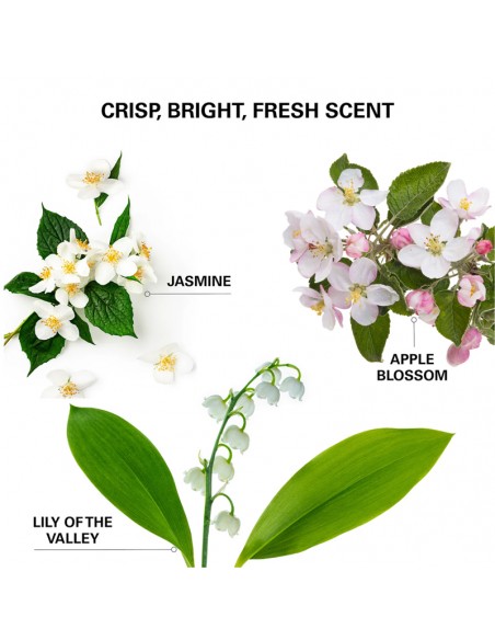 Color WOW - Insta-Wow Advanced Dry Shampoo - 200ml view 7