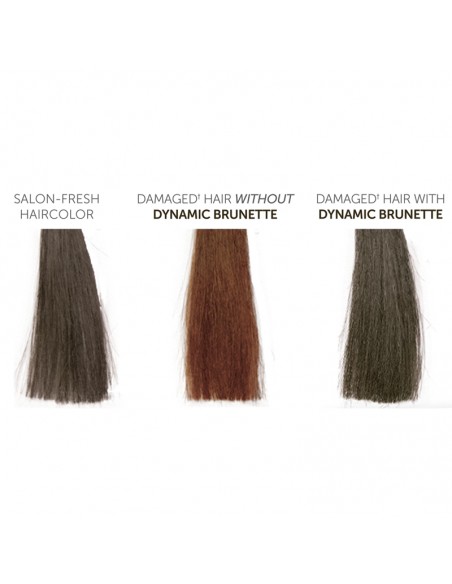 Framesi - Color Lover Dynamic Brunette Shampoo - 500ml view 4