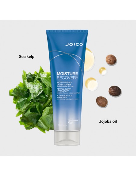 Joico - Moisture Recovery - Moisturizing Conditioner - 250ml view 4