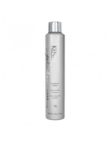 Kenra Platinum - Working Spray 14 - 283g view 2