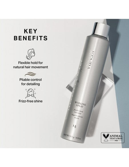 Kenra Platinum - Working Spray 14 - 283g view 5