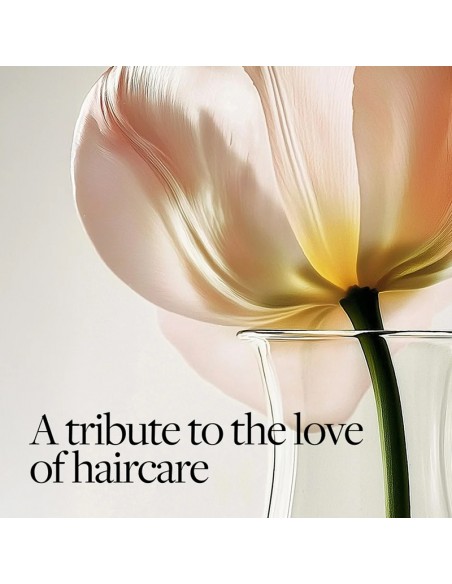 Keune - The Royal Tribute Hair Serum - 50ml view 4