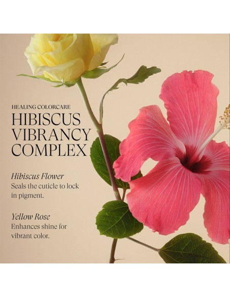 LANZA Healing ColorCare - Purple Shampoo - 950ml view 7