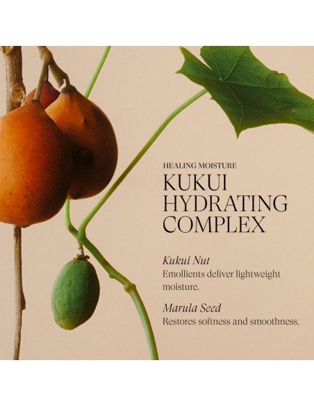 LANZA Healing Moisture - Conditioner - 950ml view 5