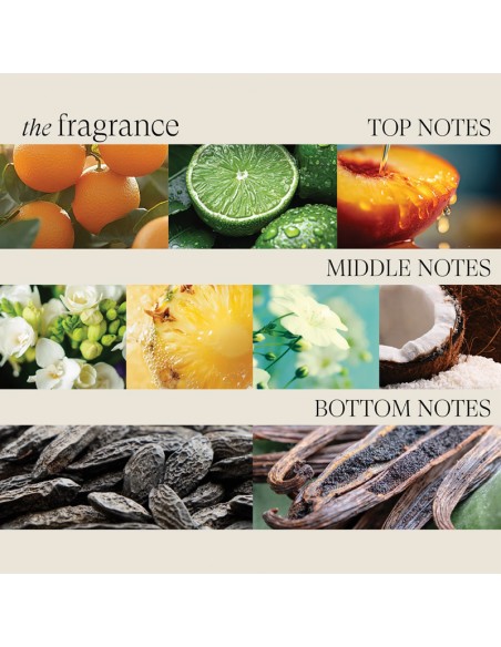 LANZA Healing Moisture - Shampoo - 950ml view 7