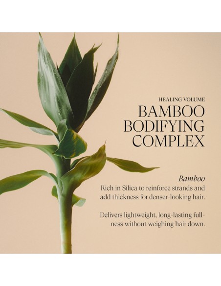 LANZA Healing Volume - Shampoo & Conditioner Duo - 950ml view 8