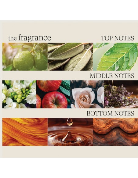 LANZA Healing Style - Air Paste - 167ml view 8