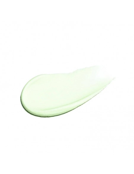 LANZA Healing Style - Cactus Protecting Sculpting Paste - 100ml view 4