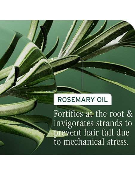 Matrix Biolage - Full Rescue - Conditioner - 236ml view 8