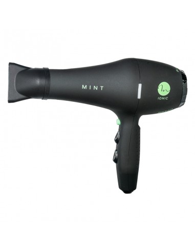 Mint Dryer - Black Bird view 2