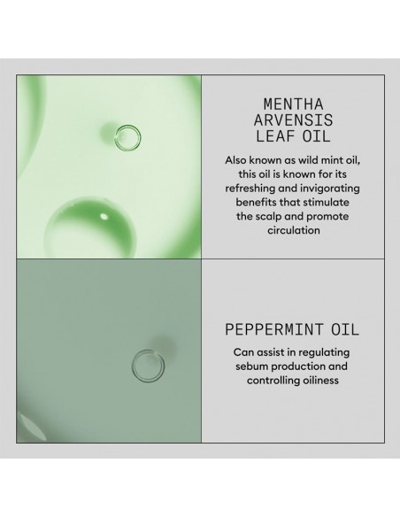 Nioxin - Scalp Renew - Dermabrasion Treatment - 75ml view 8