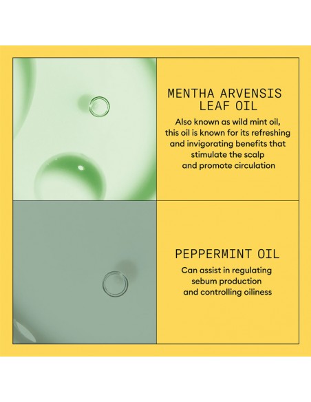 Nioxin - System 1 - Scalp + Hair Conditioner - 500ml view 6