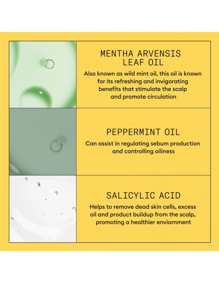 Nioxin - System 1 - Scalp + Hair Shampoo - 1000ml view 6