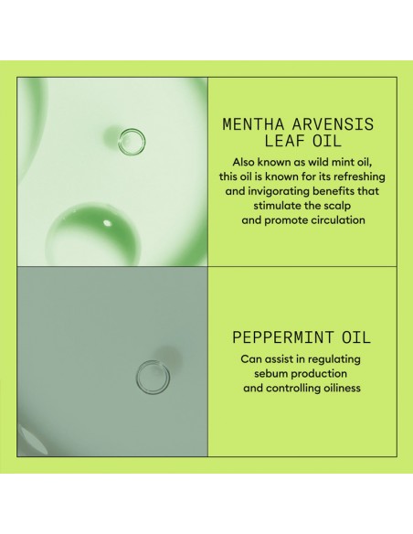 Nioxin - System 2 - Scalp + Hair Conditioner - 500ml view 9