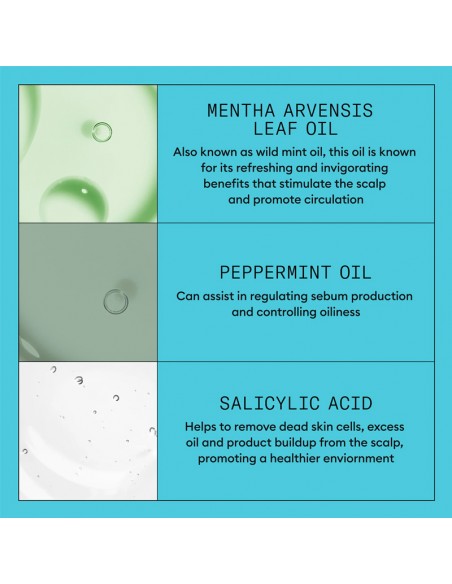 Nioxin - System 3 - Scalp + Hair Shampoo - 1000ml view 8