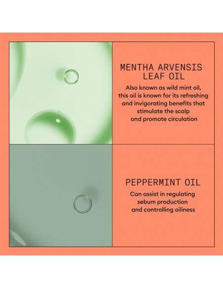 Nioxin - System 4 - Scalp + Hair Conditioner - 500ml view 8