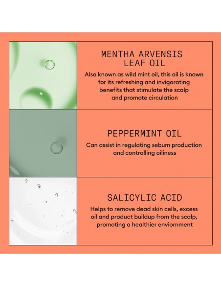 Nioxin - System 4 - Scalp + Hair Shampoo - 1000ml view 9