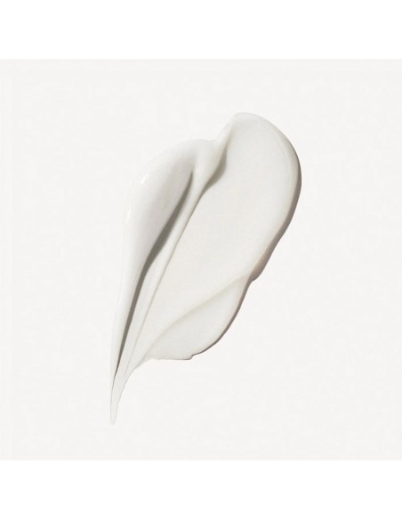 Olaplex - No. 2 Bond Perfector - 2000ml view 4