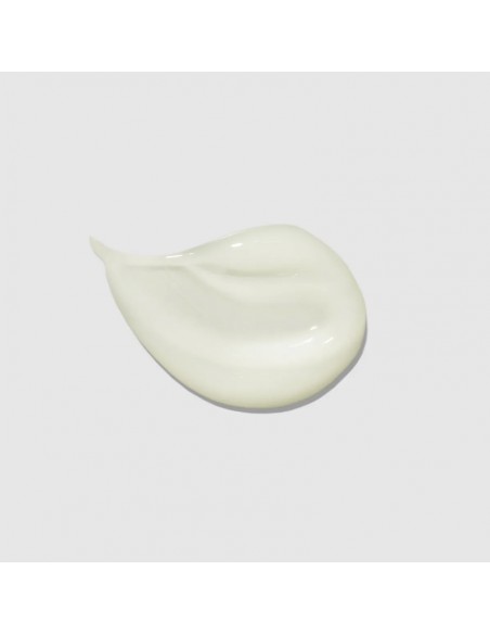 Paul Mitchell - Clean Beauty - Everyday Conditioner - 1000ml view 4