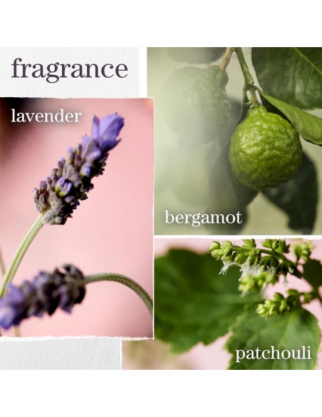 Pureology - Hydrate - Shampoo - 266ml view 8