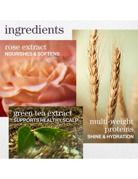 Pureology - Hydrate - Shampoo - 266ml view 7