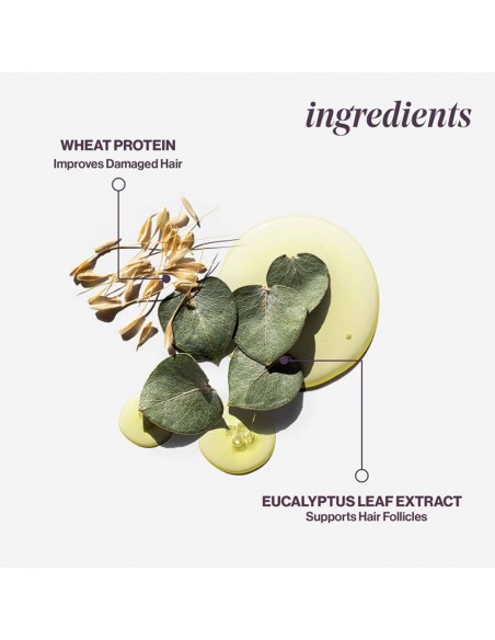 Pureology - Hydrate Sheer - Conditioner - 1000ml view 6