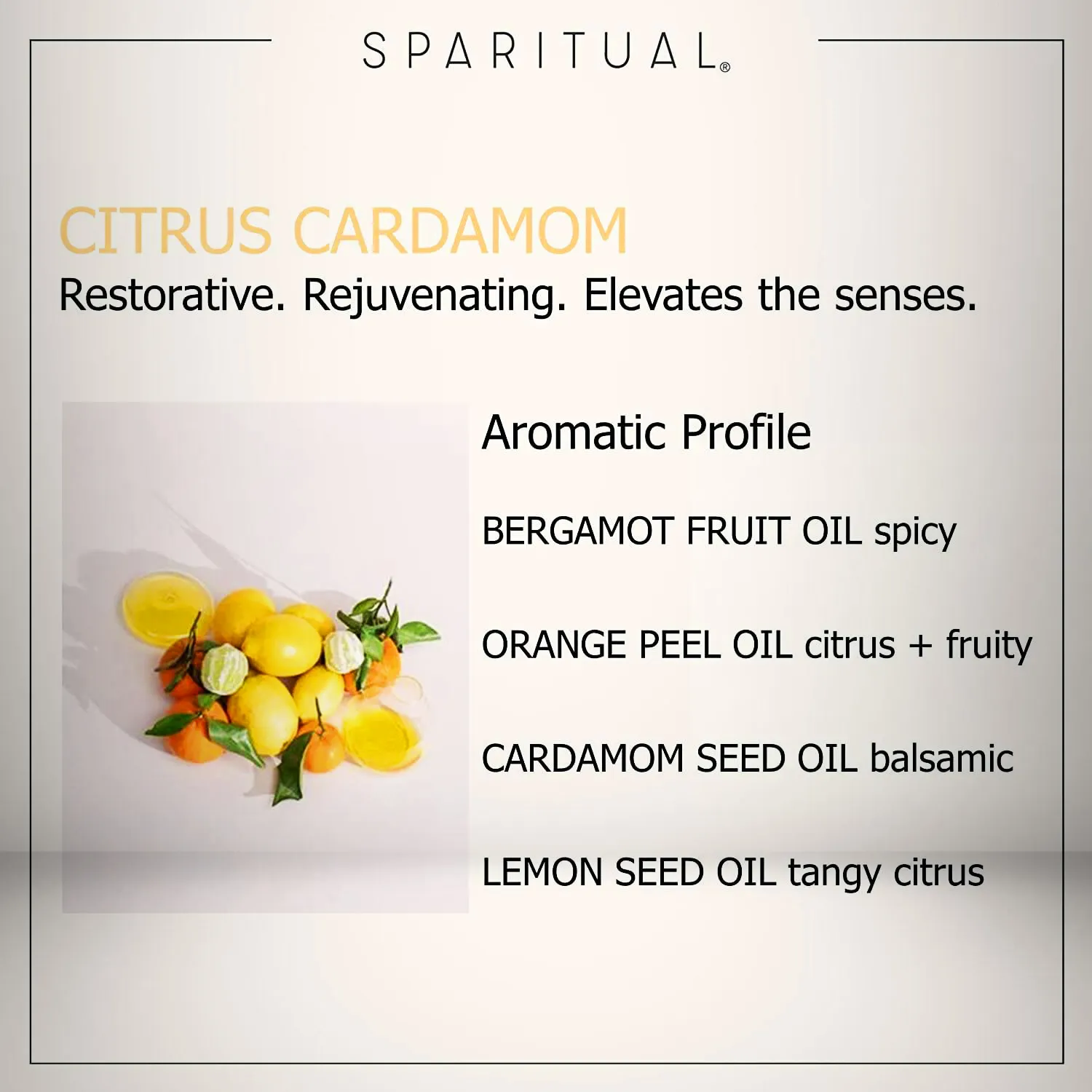 Hand Salve Cardamom Citrus - View 2