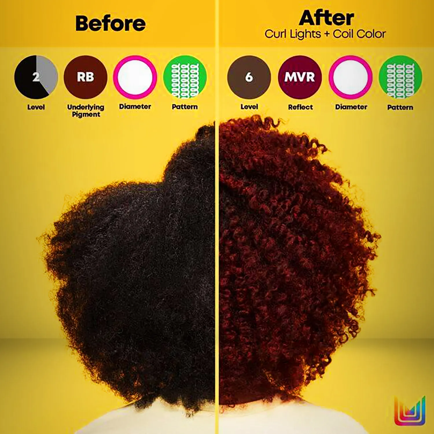 Coil 20Vol Developer Color - View 3