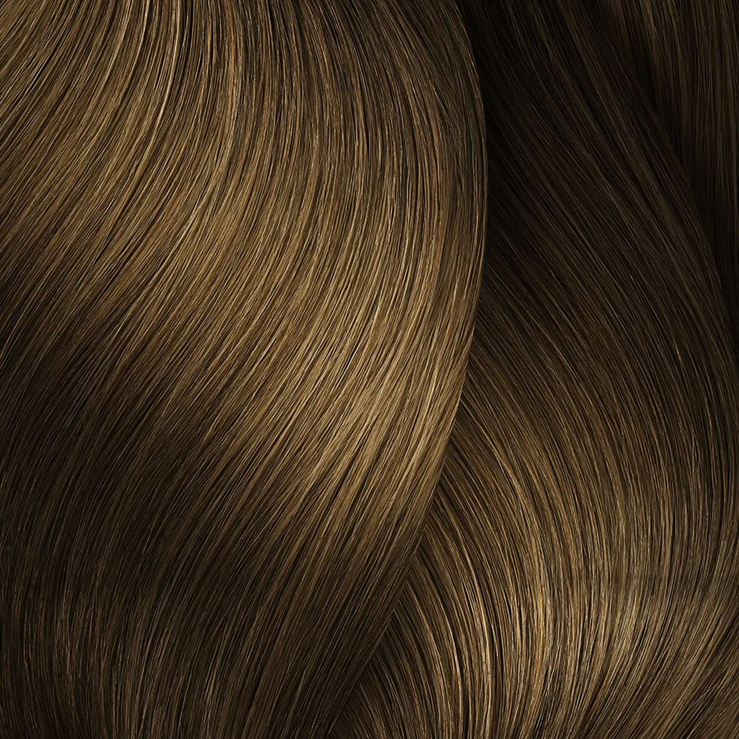 Cool Beige 8BG 8.13 iNOA 60mL Brown